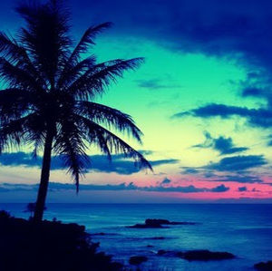 Meet your Posher, Alivia